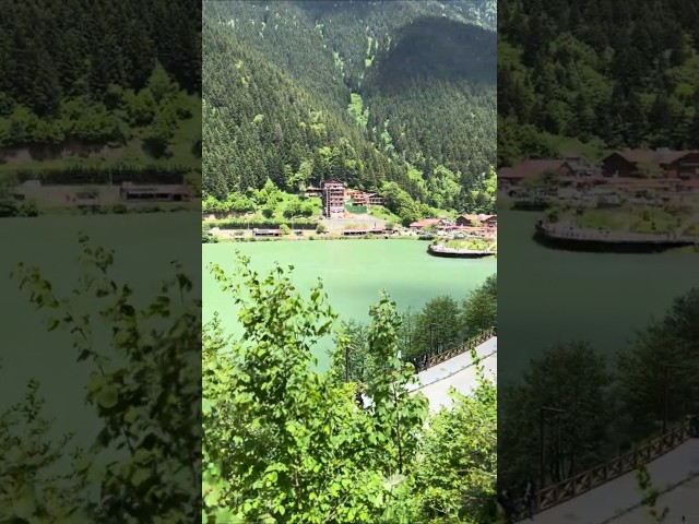 Uzungol -Trabzon - Turkiye / Stairs and Nature 2 #turkye #turkey #uzungol #nature #lakes