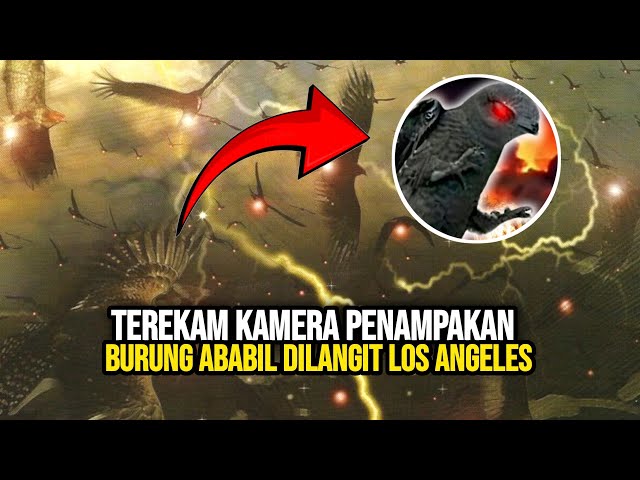 Burung Ababil Tertangkap Kamera di Los Angeles! Fenomena Aneh yang Terjadi di AMERIKA