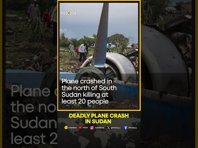 Sudan Plane Crash: At Least 20 Killed In Deadly Plane Crash In Sudan, Only One Survived |WION Shorts