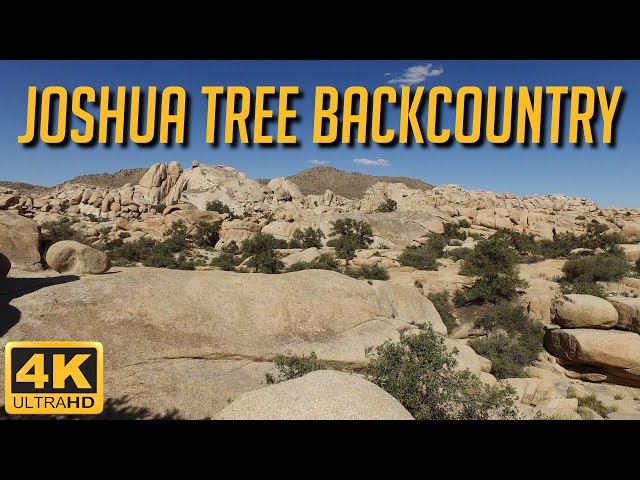 Is this the BEST BACKCOUNTRY HIKE? - Joshua Tree National Park - Full Virtual Hike in 4K HD