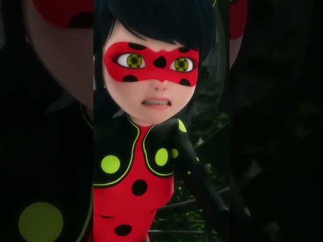 Miraculous's Another Missed Opportunity Again