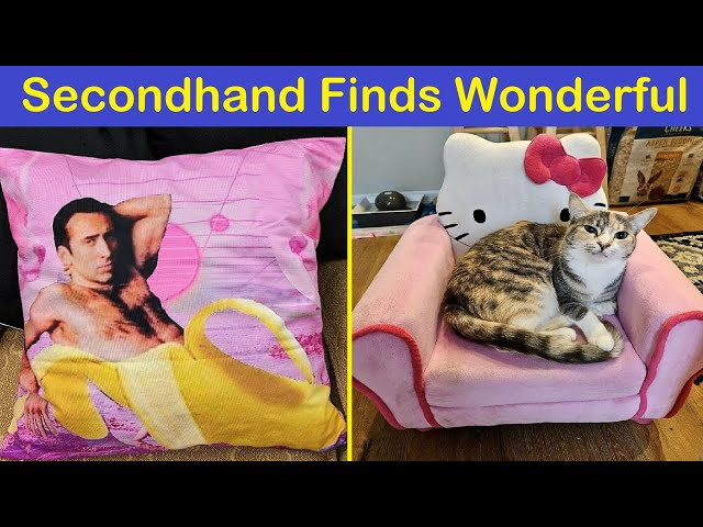 Secondhand Finds That Are As Strange As They Are Wonderful | Happy And Fun