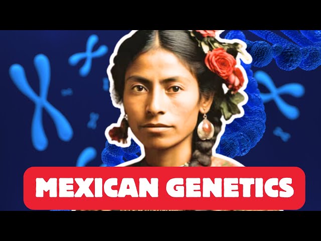 How Native Mexicans Shaped the Americas | A Genetic Revelation