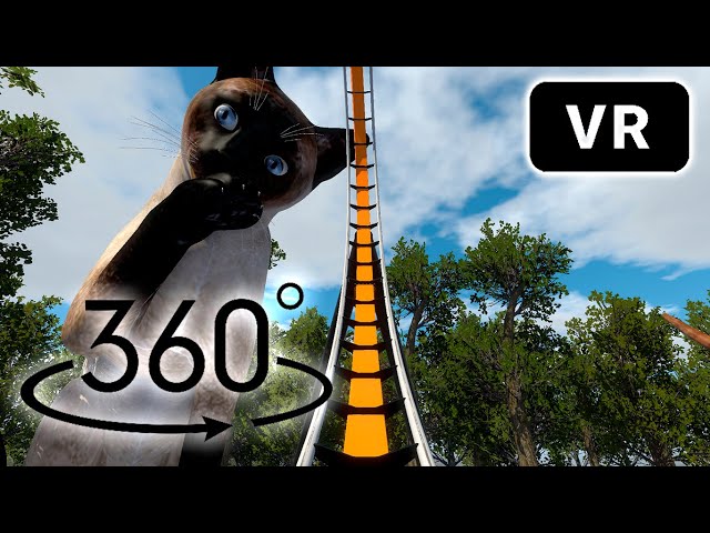 Cats Roller Coaster / 360 VR Video Experience/ Extreme Roller Coasters #video