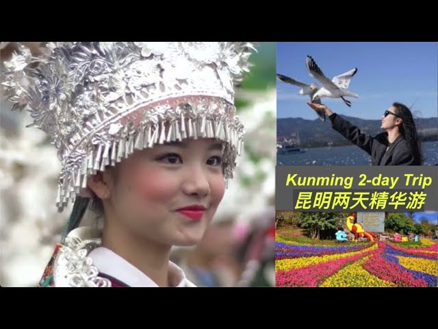 Kun Ming 2-Day Trip, Kun Ming Travel Tips, Kun Ming Travel Experience, 云南昆明两天精华游