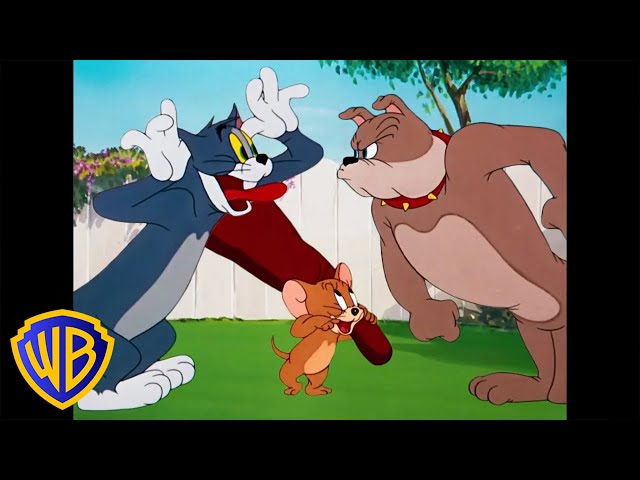 Tom & Jerry | Best Buddies 🐭🐱🐶 | Classic Cartoon Compilation | WB Kids