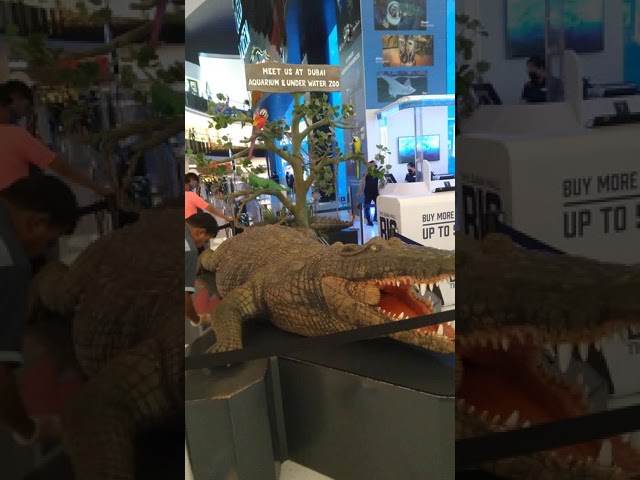 Dubai mall crocodile #dubaimall #roshanvlog #shorts