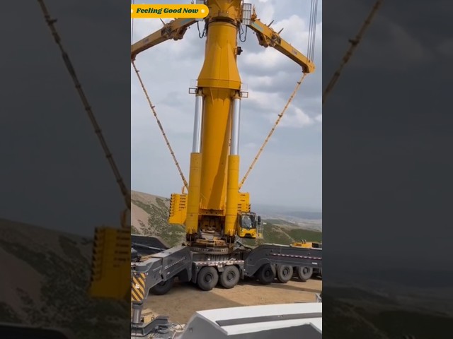 World longest crane #shorts