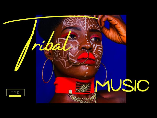 Tribal Music African Drums Vol 29 | Best African Relaxing Inst Music [Beautiful African Space]