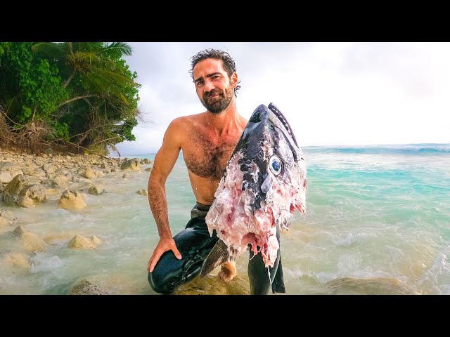 SHARKS ATE MY FISH! (Spearfishing A Remote Tropical Island)