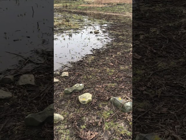 Big puddle in the muddy field