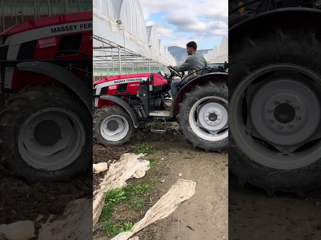 Massey Ferguson 3FR 75 #masseyferguson #farming #farmlife #agriculture