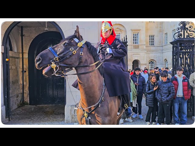 Tourists Ran From NERVOUS HORSE at Horse Guards and Lived to Tell the Tale!