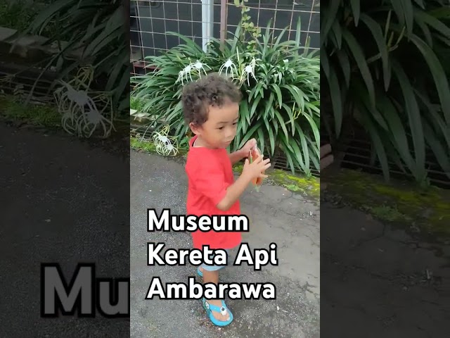 Museum Kereta Api