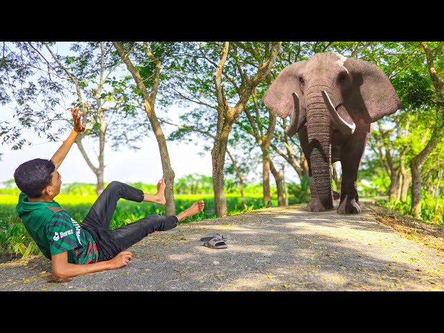 Elephant Attack On Village Boy In Forest | Elephant Attack In Real Life | Fun Made Movie Part 34