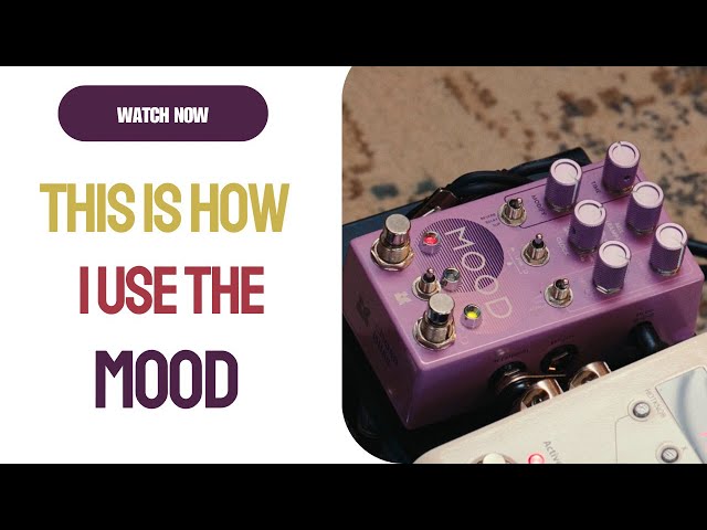 HOW I USE THE MOOD MK II FROM CHASE BLISS AUDIO | STU G