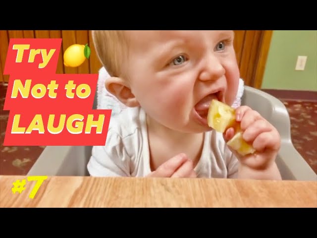 Funniest Reaction Babies Eating Lemons - Funny Video