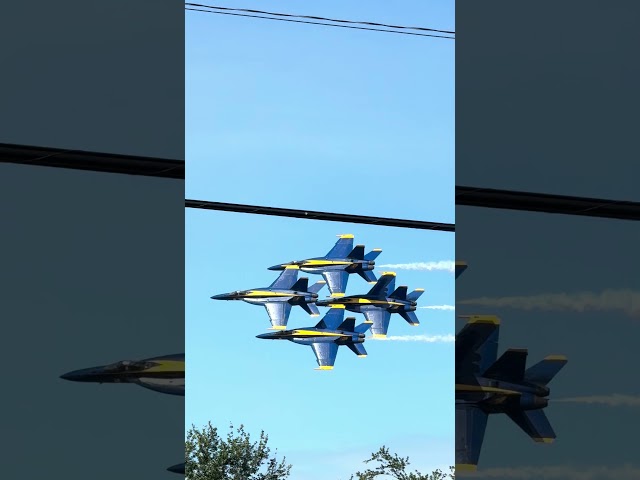 Up Close with Blue Angels 1, 2, 3, and 4: Thrilling Flyby!