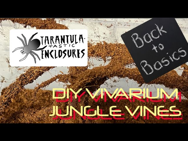 DIY jungle vines for tarantula reptile vivariums