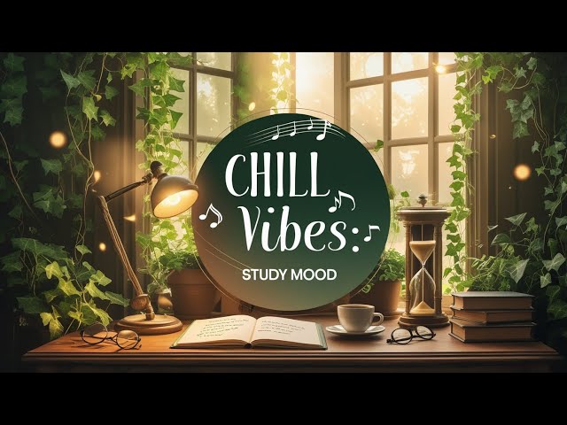 Chill Vibes Study Mood Playlist