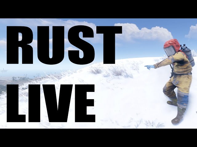 RUST LIVE 🔴