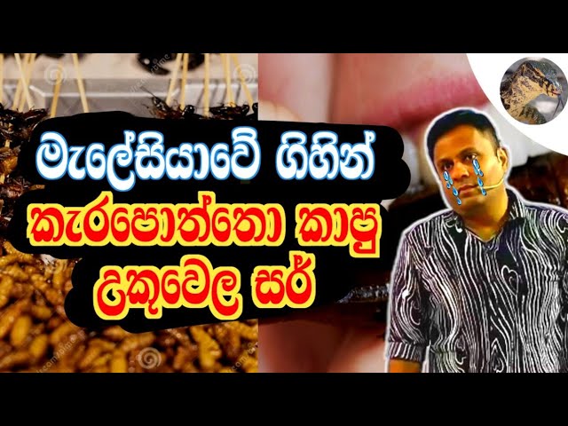 කැරපොත්තො කාපු උකුවෙල සර් 🤮 | Dr Darshana Ukuwela - Physics