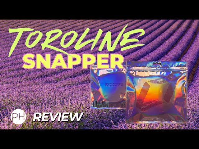 REVIEW: TOROLINE SNAPPER | Tennis String Review