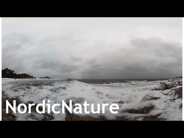 Winter in the Baltic Sea 360, some seagulls flying over. Filmed in color but the real scenery B/W.