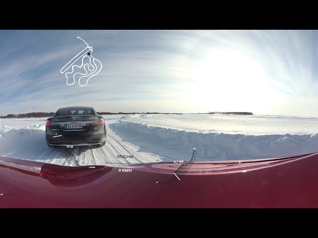 Tesla on ice...