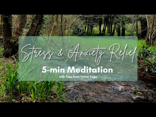 Stress & Anxiety Relief 5 Minute Meditation