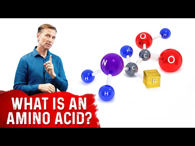 What Is An Amino Acid? – Dr.Berg