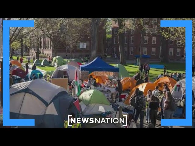 Trump order targets pro-Palestinian student protesters | Morning in America