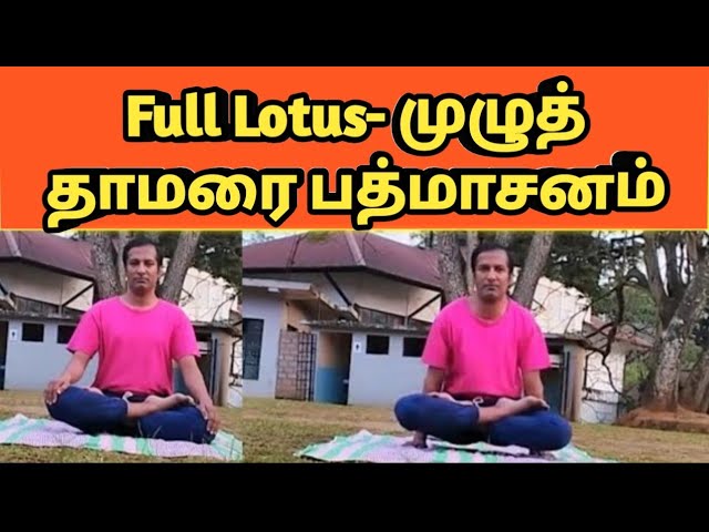 Padmasana- Full Lotus pose in Tamil |‌பத்மாசனம் யோகா