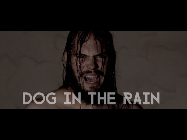 Melodramatic Fools - Dog In The Rain (Official Music Video)