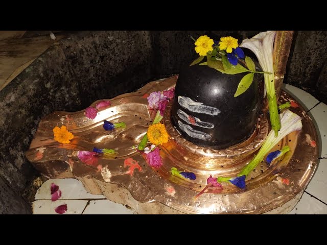 महादेव आरती संध्याकाल 22Nov2022 | Mahadev Aarti | 🛕ॐ卐ॐ 🛕 #viral #mahadev #satyamshivamsundaramtemple