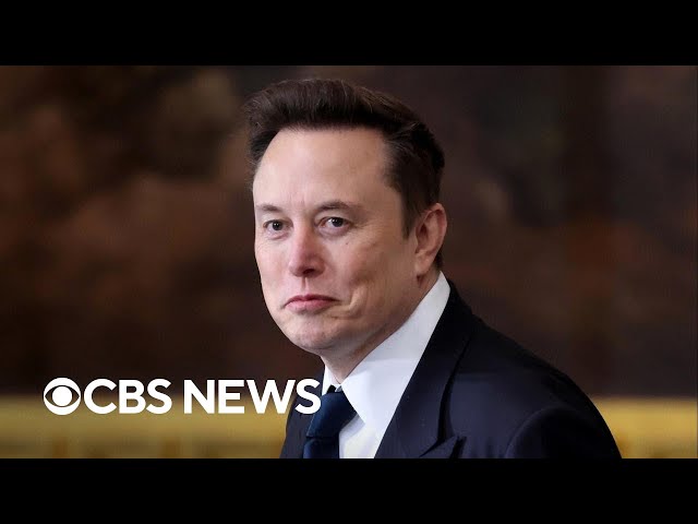 Inside Elon Musk's government takeover