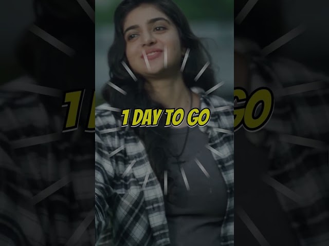 1 Day to go! | Wirally Originals | Tamada Media