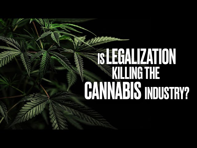 Is Legalization Killing the Cannabis Industry? Kyle Kushman Weighs In