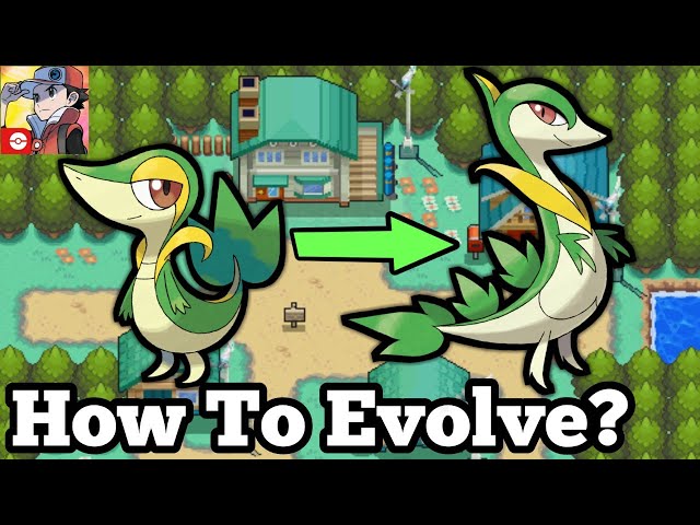 How to Evolve Your Pokemon! Evolution Guide! Materials Needed & Clearing Evo Story | Pokemon Masters