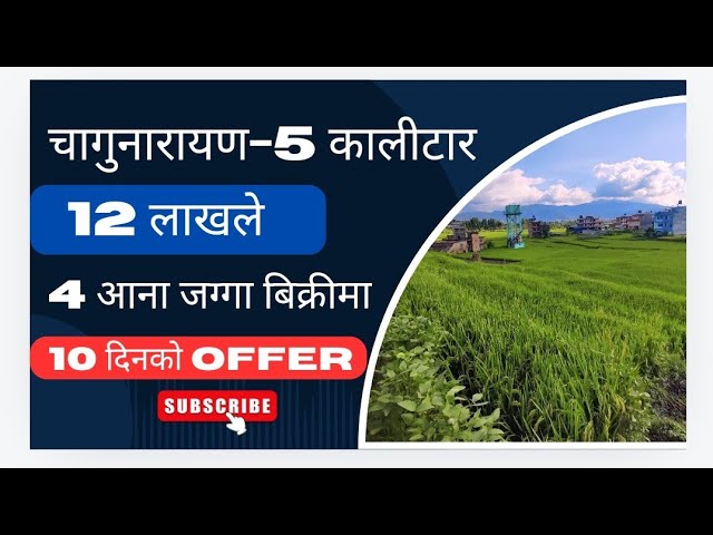 12 लाखले✅ 4 आना जग्गा बिक्रीमा 🔴 चागुनारायण-5 कालीटार ✅ 10 दिनकाे Offer !! Sastojagga