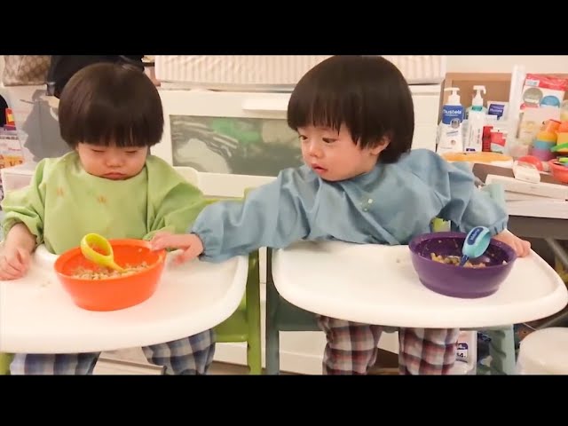 Best Videos Of Funny Twin Babies Compilation   Twins babies