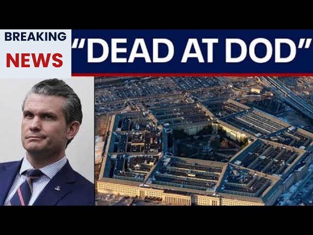 NEWS INFORMATIONS Hegseth announces death of  identity months  at DOD   LiveNOW from FOX