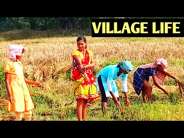 Indian Villages Life  || Desi Village girl  Vlog India || Village women vlog