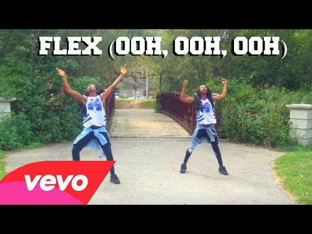 FLEX (Ooh, Ooh, Ooh) - Rich Homie Quan Dance Cover Twin Version Choreography By @MattSteffanina