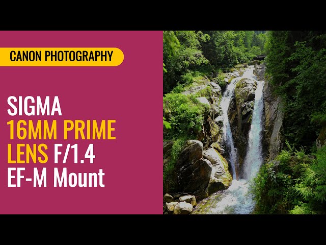 Sigma 16mm Prime Lens | Canon M50 Mark II | Part3