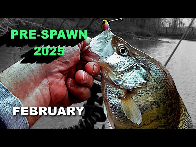 How to Catch February Prespawn Crappie Slabs Winter Fishing 2025