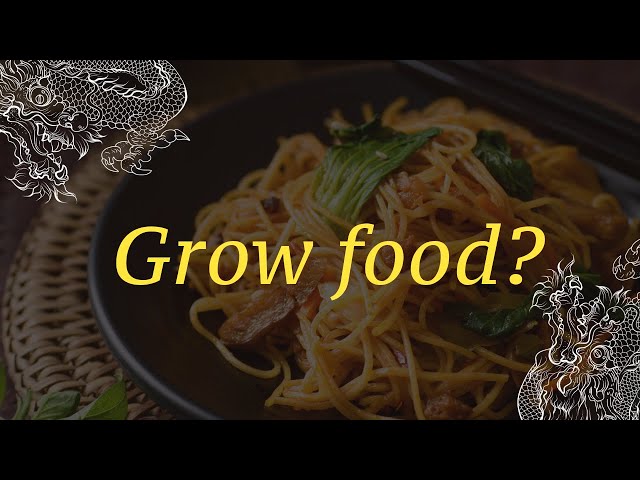 Should you grow your own food?  ~ Spiritual