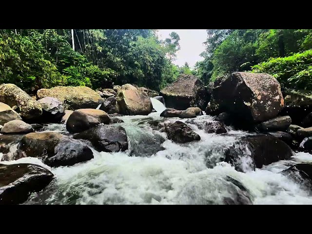 The beauty of river water is natural therapy to relieve stress and treat insomnia #asmr