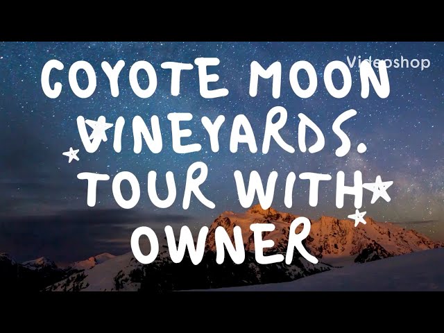 Coyote Moon Vineyards.....fantastic!!!  This place is in the 1000 Islands Area of New York State.