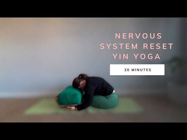 20 Minute Bedtime Yin Yoga - Nervous System Reset - Yin Yoga for Stress Relief